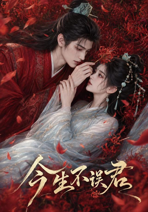 今生不误君（106集）每天分享短剧