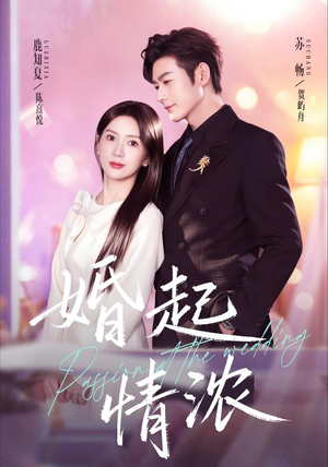 婚起情浓（99集）免费看全集